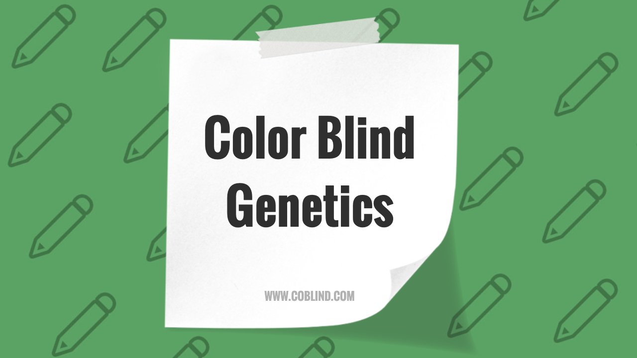 Color Blind Genetics